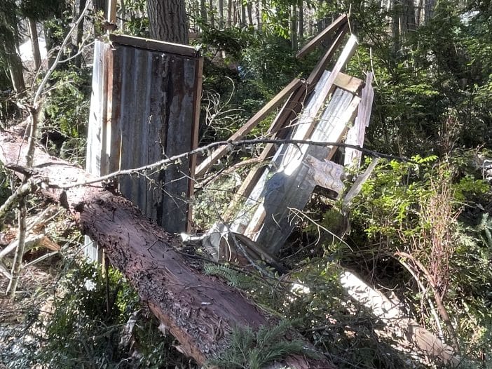 How to Prepare for Winter Storms